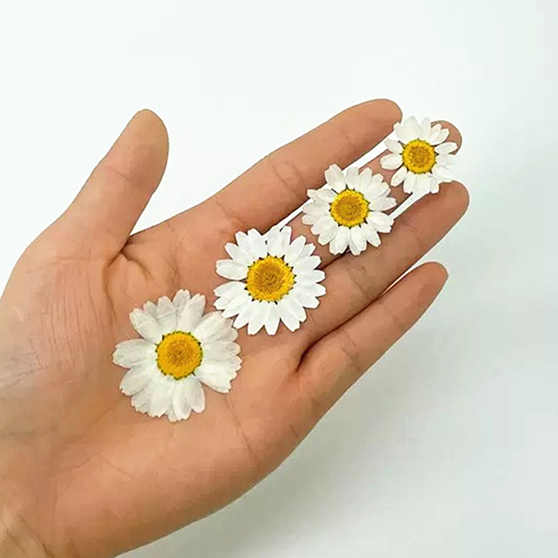100Pcs Natural White Crystal C - огляд і ціна Resin Craft Ideas