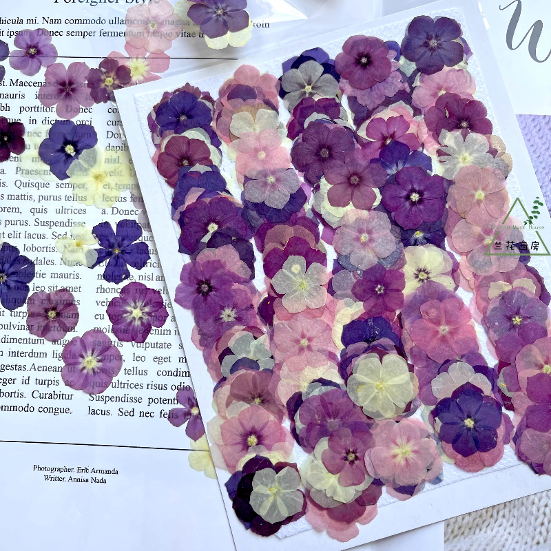 12pcs,Semi-Transparent Niche P - огляд і ціна Resin Craft Ideas