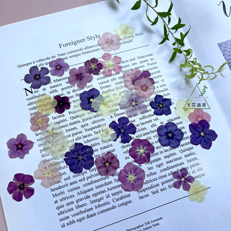 12pcs,Semi-Transparent Niche P - огляд і ціна Resin Craft Ideas
